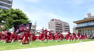 【４K】Rie Dancing Team★第18回湘南よさこい祭り2023/ステージパフォーマンス/2023.06.04/Lumix S5Ⅱ