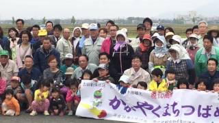 燕市景観作物推進協議会が田んぼアート