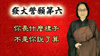 發大誓願第六 第156集：你長什麼樣子  不是你說了算