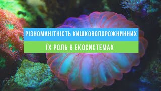 Різноманітність кишковопорожнинних. Їх роль в екосистемах.