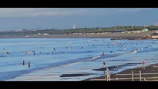 ２０２３年９月１２日（火）江ノ島～鵠沼海岸：晴れてます。風は弱めで波はすねくらい。