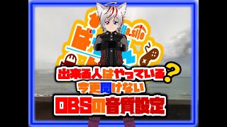 【Vtuberによる】OBS音質改善の設定説明動画【配信者のための動画】