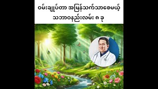 ဝမ်းချုပ်တာ အမြန်သက်သာစေမယ့် သဘာဝနည်းလမ်း ၈ ခု