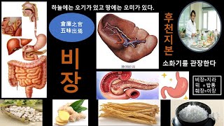 약선기초이론26   비장은 후천지본으로 창고지관이며  오미가 나오는 곳이다+한국약선요리협회