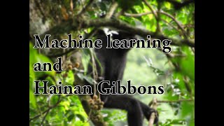 Automated detection of Hainan gibbon calls for passive acoustic monitoring