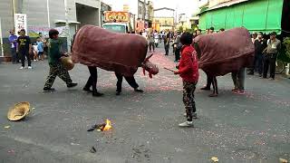 【拾慶圓載】佳冬北帝行館慶成安座拾週年暨往舊寮司馬安庄上帝廟會香回駕遶境~過境參拜神農宮