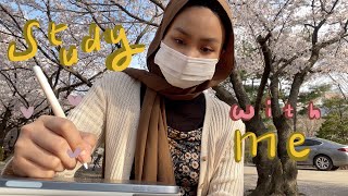 Study with me \u0026 Cherry Blossoms in Korea🌸🇰🇷| STUDY WITH ME (eng/indo)