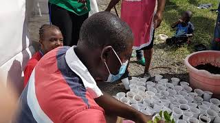 Hydroponic Farming at TAFI (The Autism Foundation International)