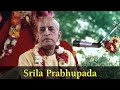 srimad bhagavatam sri madhu pandit dasa sb 3.23.2 14.01.2025