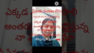 ప్రేమకు మరణం లేదు#youshort