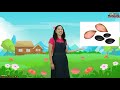 Science Episode 7: PARTS OF A PLANT| FILIPINO | Preschool Lessons| Fun Learning