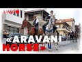 απογευματινή παρέλαση aravani horses σε ζωντανή μετάδοση!