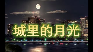 中秋版 [城里的月光] 把梦照亮 温暖心房 [cover 许美静]