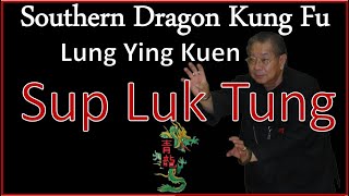 Southern Dragon Kung Fu "Lung Ying Kuen' - SUP LUK TUNG