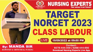 AIIMS NORCET 2023 | TARGET NORCET 2023 CLASS LABOUR | Nursing Expert's| Live classes