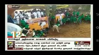 KOKKUDI jallikattu