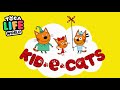 KID-E-CAT‼️THE MUSICAL BIRTHDAY CARD‼️Cartoon 