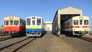 関東鉄道・常総線　「キハ313+314 さよなら撮影会」 　　2019-2-16