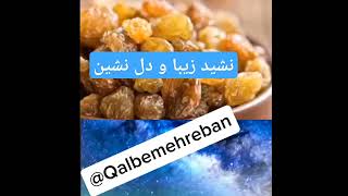 نشید زیبای یارب گنهکارم، لذت ببرید|@Qalbemehreban