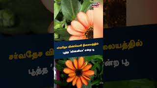 Zinnia Space Flower | சர்வதேச விண்வெளி நிலையத்தில் புத்த 'ஸின்னியா' என்ற பூ | NASA | Flowers