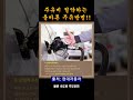 주유비 절약하는 방법