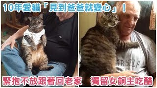 10年愛貓「見到爸爸就變心」！緊抱不放跟著回老家　獨留女飼主吃醋