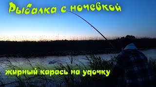 #карась #карасьнапоплавок На карася с ночевкой. Попался жирный карась)