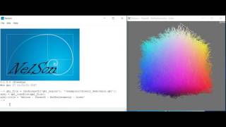 Nelson - ThreeJS - BufferGeometry - Lines