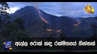 ඇල්ල රොක් කඳු රක්ෂිතයේ ගින්නක් - Hiru News