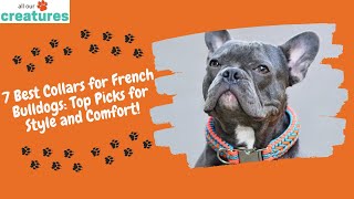 7 Best Collars for French Bulldogs: Top Picks for Style and Comfort!