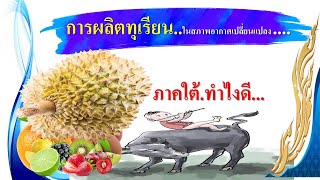 การผลิตทุเรียนภาคใต้...ในสภาพอากาศแปรปรวน.. 2566