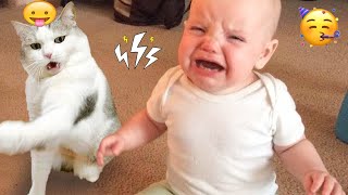 Funniest Cats and Dogs 😂 Ultimate Pet Fails Compilation! Part119 | Can't Stop Laughing