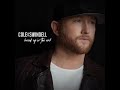 Cole Swindell - Break up in the End