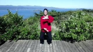 Tai chi 5 Minutes a Day Module 03 - Part the Horses Mane and Double Spiral - Easy For Beginners