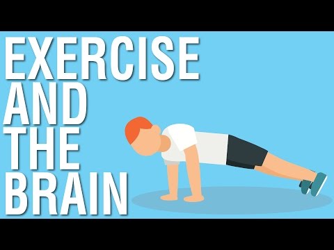 EXERCISE AND THE BRAIN – SPARK BY JOHN RATEY ANIMATED BOOK SUMMARY