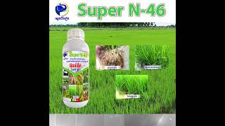 #អ៊ុយរ៉េទឹក(Super N-46) កំពូលជី សម្បូរសារធាតុអាសូត និងមីក្រូធាត់សំខាន់ៗដល់ដំណាំស្រូវ