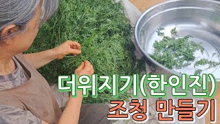 더위지기 조청 한인진 인진쑥 여름철 건강 담양 창평 슬로시티 약초밥상 산야초 명인 최금옥 담양군평생교육원