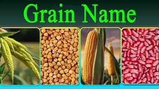 Grains Names | Grains Name In English | Food Name | Grains Vocabulary | Rice, Wheat