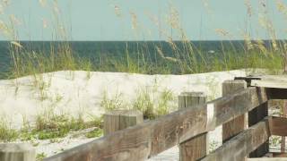 Gulf Commitment: The Beaches