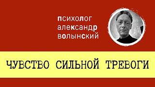 СИЛЬНАЯ ТРЕВОГА || СЕССИИ В ПРЯМОМ ЭФИРЕ