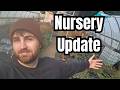 Native Plant Nursery Update