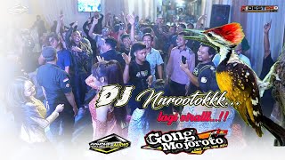 lagi viral DJ nrrrotokkk... ! KMB Gedruk / Gondhes Audio