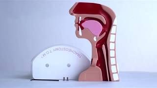 Trachestomy T.O.M. Stand Set Up