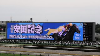 安田記念　2023　東京競馬場第１１レース