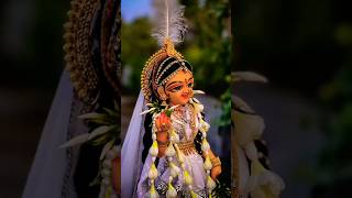 জয় মা সরস্বতী ২০২৫ Joy ma Saraswati2025 #2025 #joy #Saraswati #books #beautiful