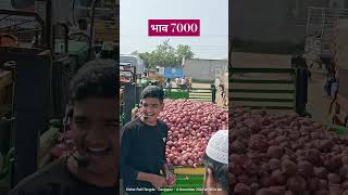 आज चे बाजार भाव गंगापूर भाव 7000 #17कांदा #fruit #gangapur #todayonion #kanda #farming #vegetablepri