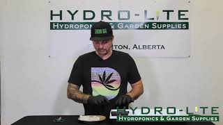 #8 Placing your Seeds in Rapid Rooters - Hydro-lite Hydroponics