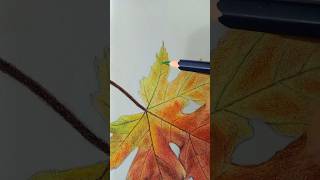 How To Draw a Autumn Using Coloured Pencils.