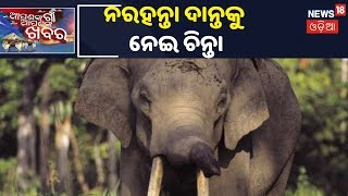 Jajpur: ସରୁନି ନରହନ୍ତା ଦାନ୍ତକୁ ନେଇ ସମସ୍ୟା