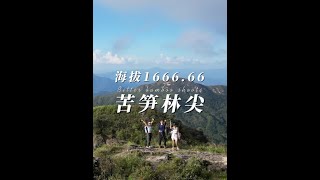 福建海拔最吉利的山 1666.66米 苦笋林尖  徒步攻略 福建最6的山 #福建徒步 户外登山 徒步路线 龙岩漳平 #苦笋林尖 苦笋林尖 徒步攻略 环线8公里 相对适合新手入门  #龙岩漳平 #福建